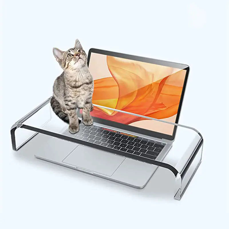 Multi-purpose Transparent Monitor Stand (Acrylic) - My Pro Essentials